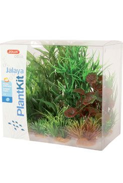 Rastliny akvarijné JALAYA 2 sada Zolux