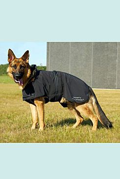 Oblek Dog Blanket Softshell 30cm KRUUSE Rehab