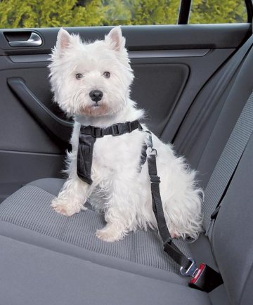 Nobby bezpečnostný postroj S pre psa do auta