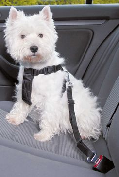 Postroj pes Bezpečnostné do auta S Trixie