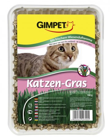 Gimpet Katzen-Gras mačacia tráva s lúčna…