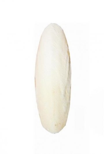 Fine Pet Sépiová kosť brúsená 8cm (+/- 2cm) 2ks / bal