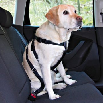 Nobby bezpečnostný postroj XL pre psa do auta