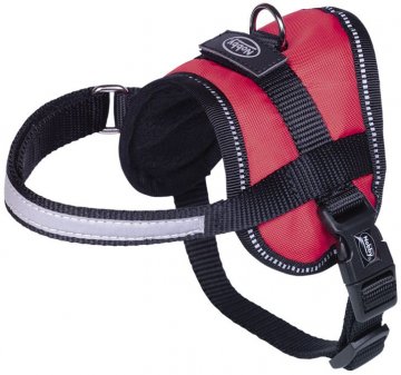 Nobby Seguro Mini bezpečnostné postroj pre psa S červená 31-40cm