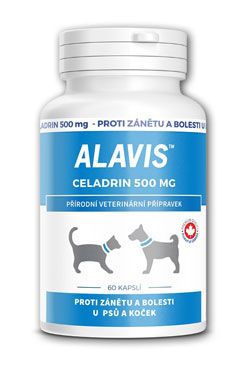 Alavis Celadrin pre psov a mačky 60cps 500mg