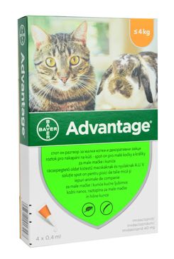 Advantage pre malé mačky a králiky 40 mg 4x0,4ml