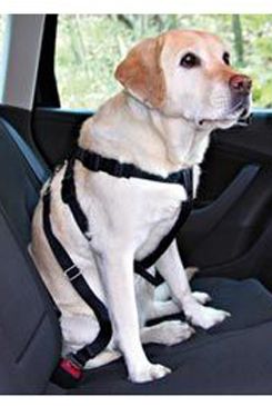 Postroj pes Bezpečnostné do auta M Trixie